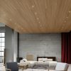 downlight for timber lined ceiling - genius naked - buzzi - gineico lighting